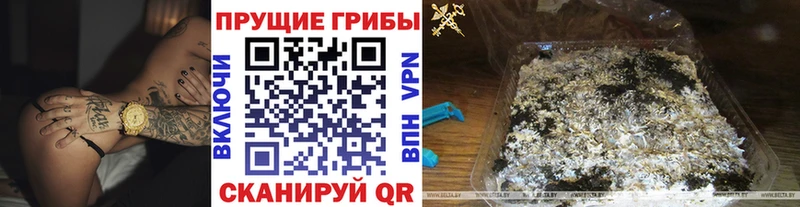 Псилоцибиновые грибы MAGIC MUSHROOMS  Кудрово 