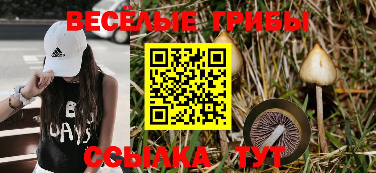 Псилоцибиновые грибы ЛСД Кудрово