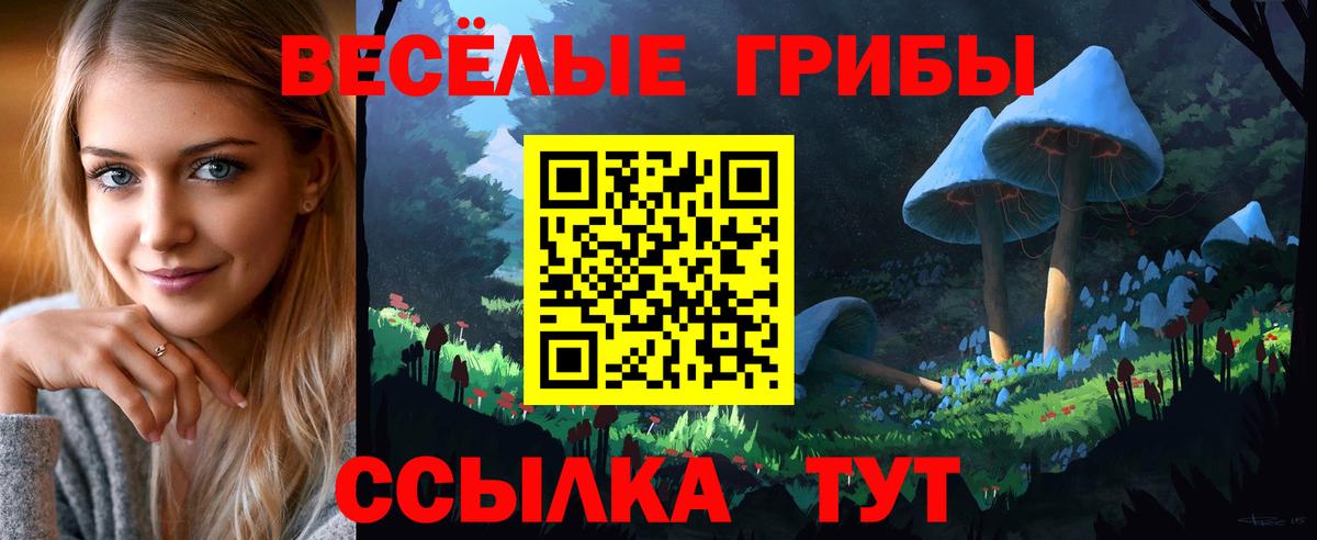 Псилоцибиновые грибы GOLDEN TEACHER  Вход с VPN  Кудрово  Псилоцибиновые грибы GOLDEN TEACHER 